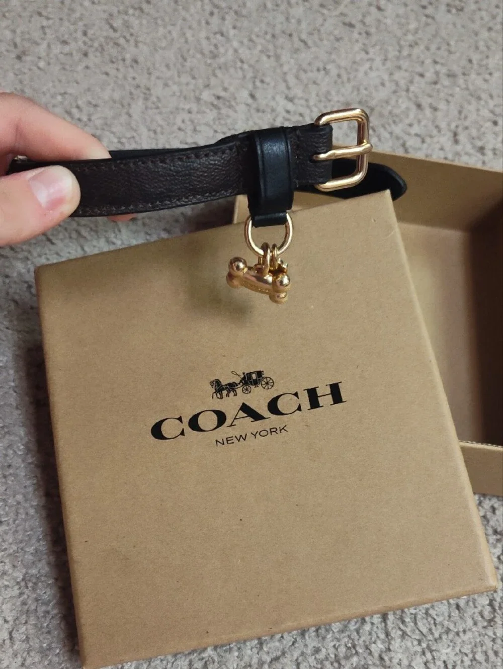 Coach Signature Dog Collar Leather Small Medium NIB Black With Bone Charm W/Box
